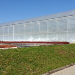 Green House Polythene Polywhite